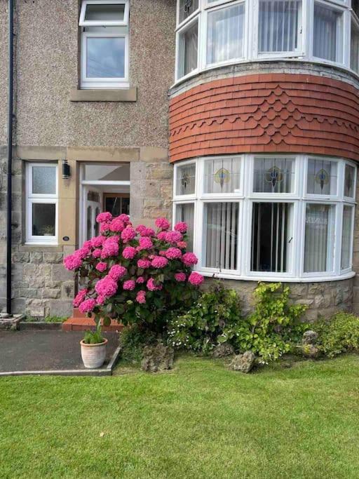 Kelvinside, Seahouses, 2 Minute Walk Into Village Exteriör bild