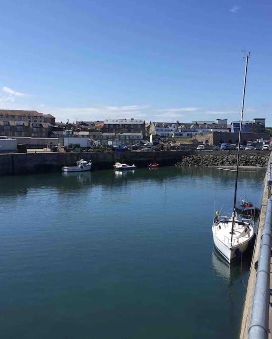 Kelvinside, Seahouses, 2 Minute Walk Into Village Exteriör bild